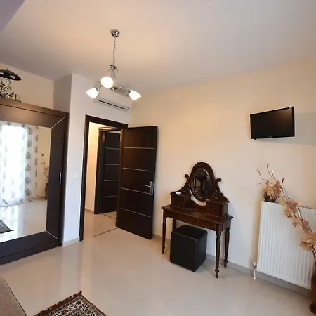 Apartment Artisti Elena *